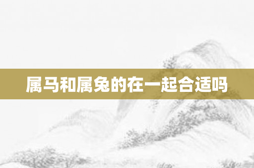 属马和属兔的在一起合适吗