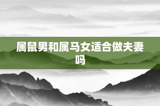 属鼠男和属马女适合做夫妻吗
