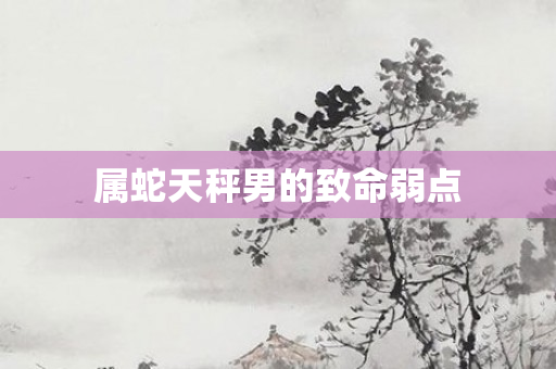属蛇天秤男的致命弱点