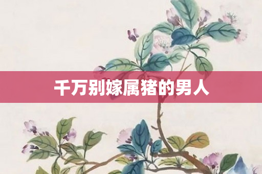 千万别嫁属猪的男人
