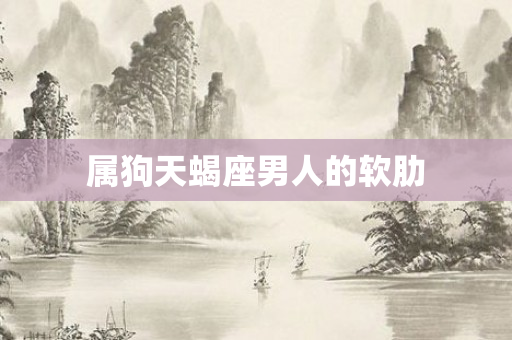 属狗天蝎座男人的软肋