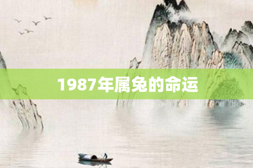 1987年属兔的命运