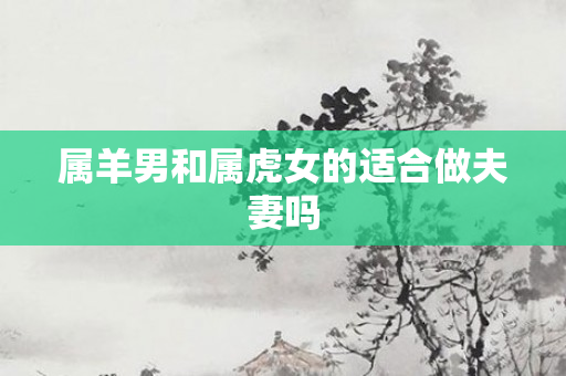 属羊男和属虎女的适合做夫妻吗