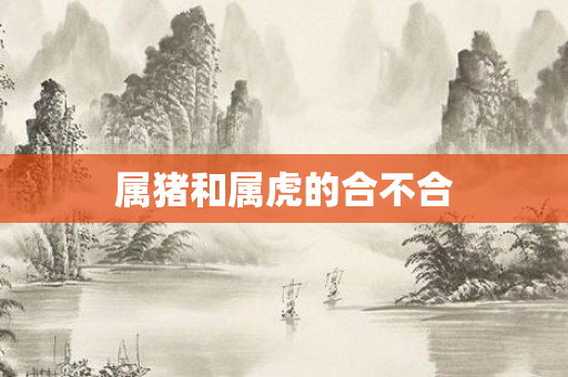 属猪和属虎的合不合