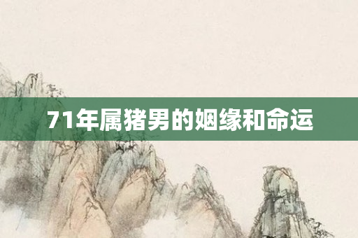 71年属猪男的姻缘和命运