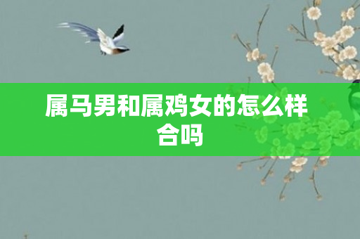 属马男和属鸡女的怎么样 合吗