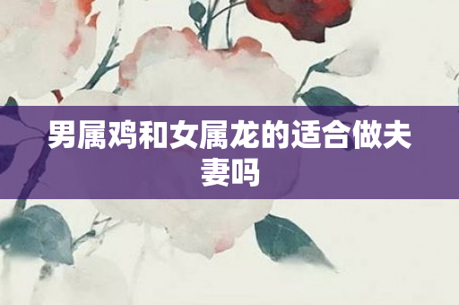 男属鸡和女属龙的适合做夫妻吗