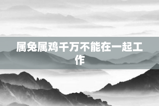 属兔属鸡千万不能在一起工作