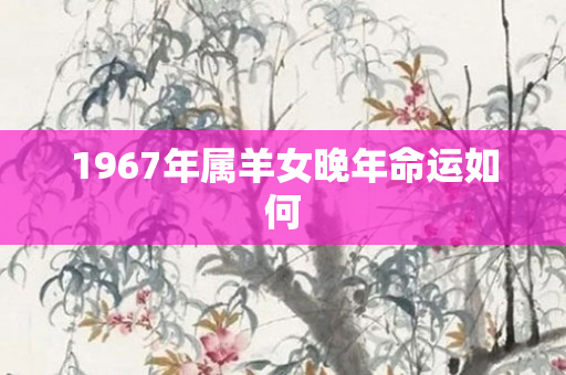 1967年属羊女晚年命运如何