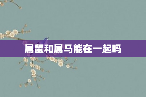 属鼠和属马能在一起吗