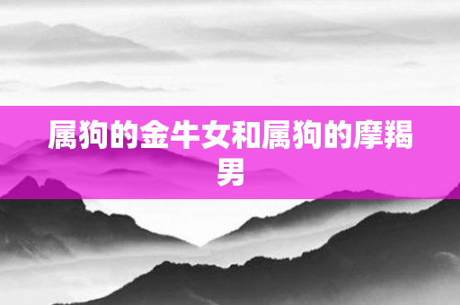 属狗的金牛女和属狗的摩羯男