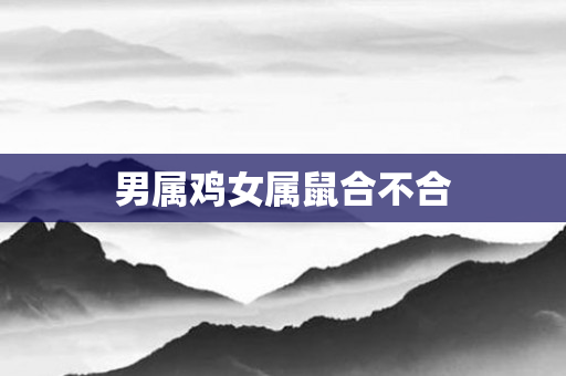 男属鸡女属鼠合不合