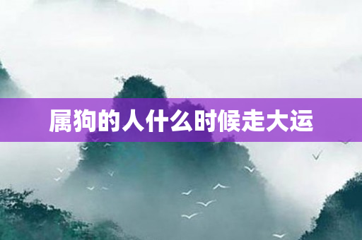 属狗的人什么时候走大运