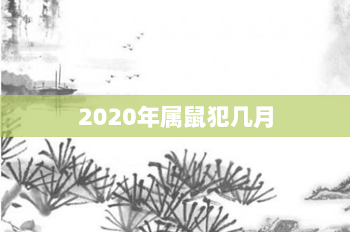 2020年属鼠犯几月