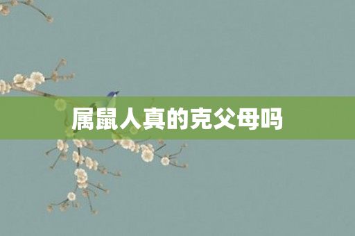 属鼠人真的克父母吗