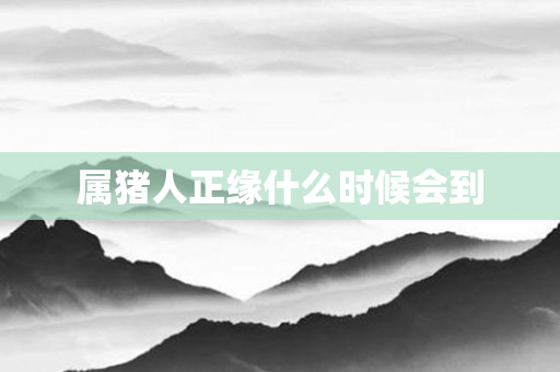 属猪人正缘什么时候会到