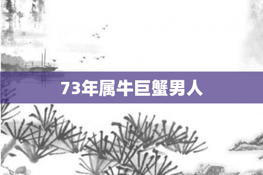 73年属牛巨蟹男人