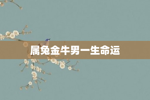 属兔金牛男一生命运