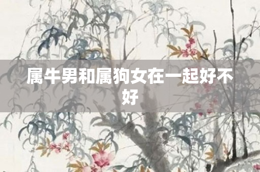 属牛男和属狗女在一起好不好