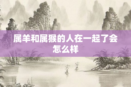 属羊和属猴的人在一起了会怎么样