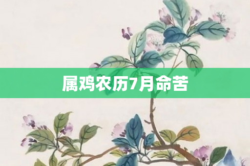 属鸡农历7月命苦