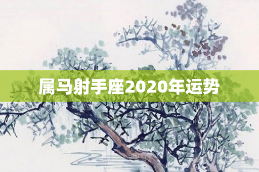属马射手座2020年运势