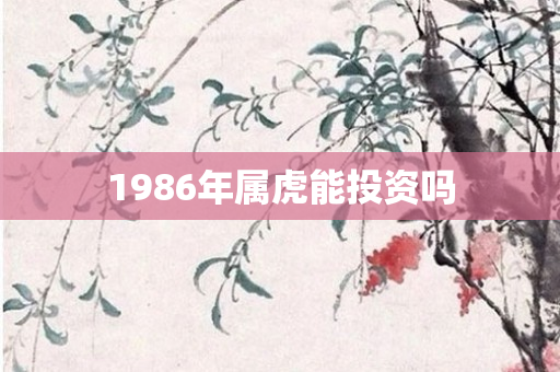 1986年属虎能投资吗