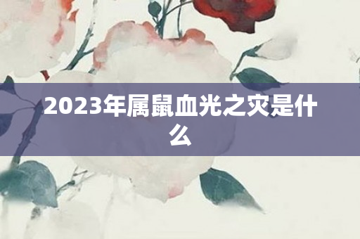 2023年属鼠血光之灾是什么
