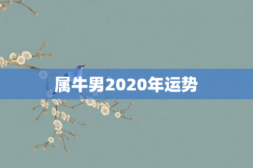 属牛男2020年运势
