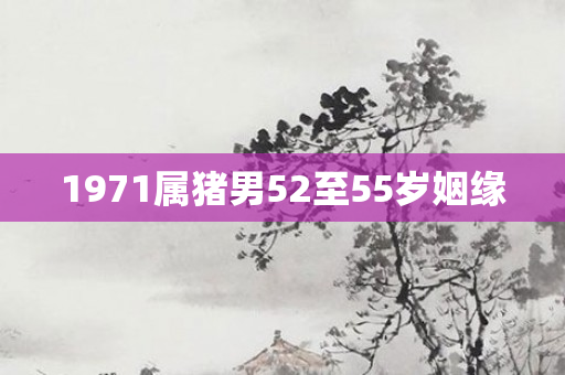 1971属猪男52至55岁姻缘