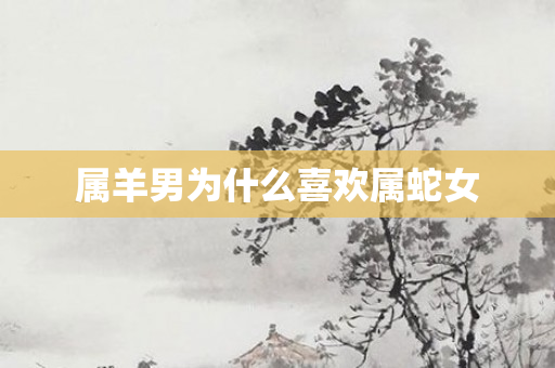 属羊男为什么喜欢属蛇女