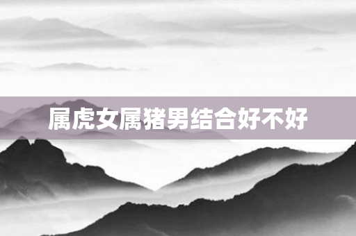 属虎女属猪男结合好不好