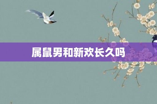 属鼠男和新欢长久吗