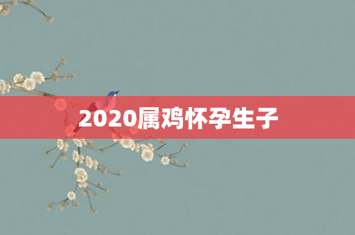 2020属鸡怀孕生子