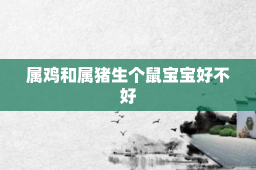 属鸡和属猪生个鼠宝宝好不好