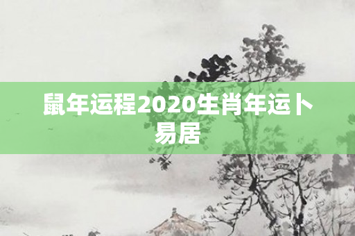 鼠年运程2020生肖年运卜易居