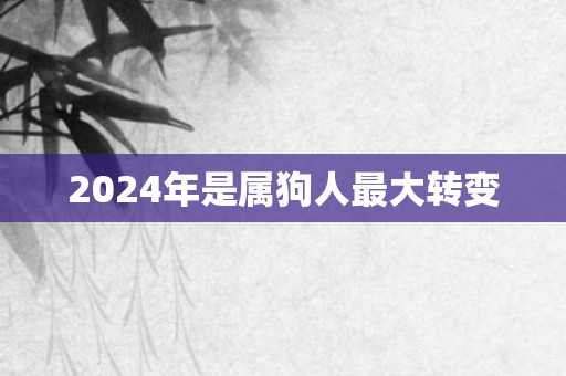 2024年是属狗人更大转变
