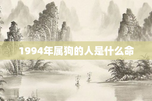 1994年属狗的人是什么命