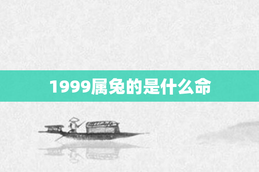 1999属兔的是什么命