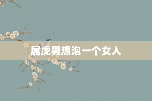 属虎男想泡一个女人