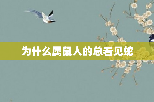 为什么属鼠人的总看见蛇