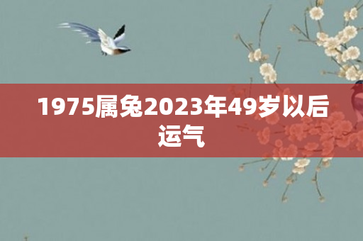 1975属兔2023年49岁以后运气
