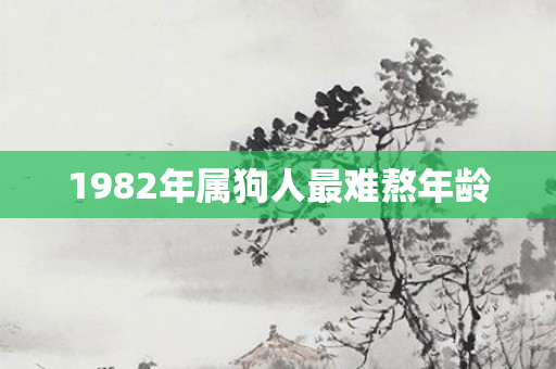1982年属狗人最难熬年龄