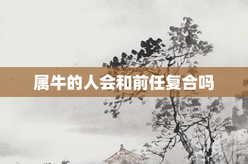属牛的人会和前任复合吗