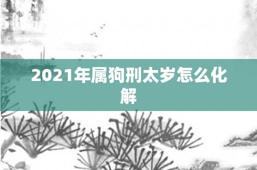 2021年属狗刑太岁怎么化解