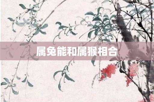 属兔能和属猴相合