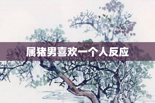 属猪男喜欢一个人反应