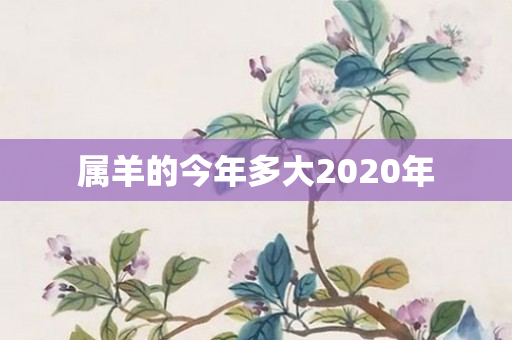 属羊的今年多大2020年