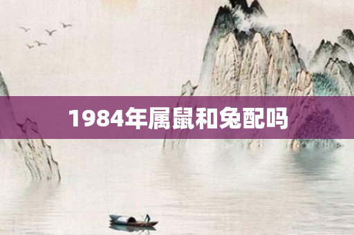 1984年属鼠和兔配吗