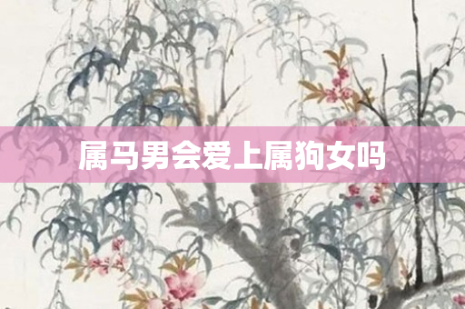 属马男会爱上属狗女吗